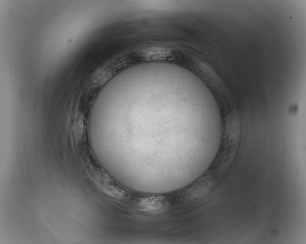 X0000111250761200907091423