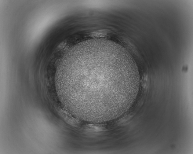 X0000111250763200907091423