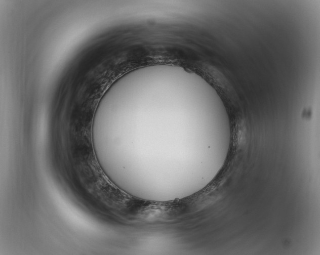 X0000111250764200907091423