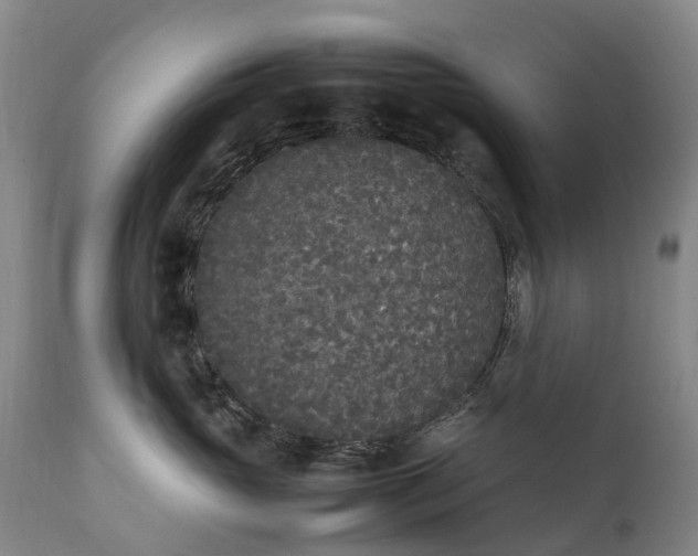 X0000111250765200907091423