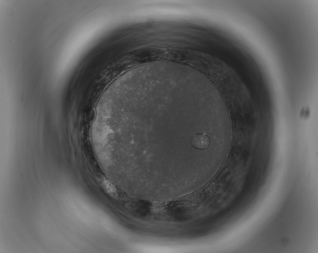 X0000111250766200907091423