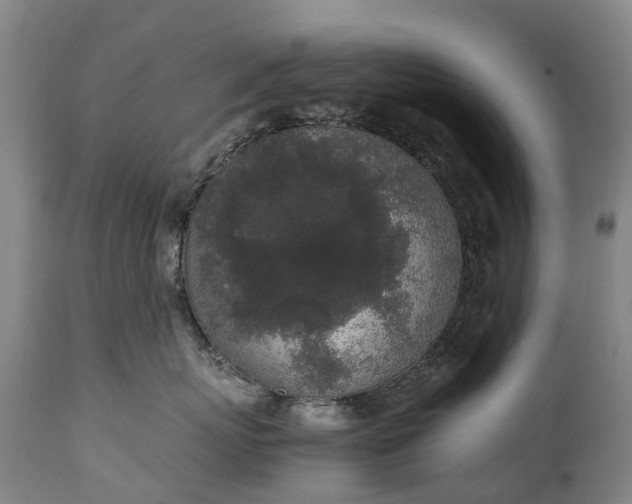 X0000111250767200907091423