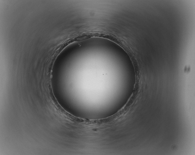 X0000111250769200907091423