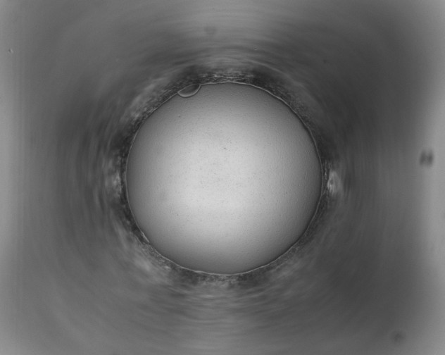 X0000111250771200907091423