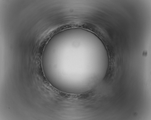 X0000111250773200907091423