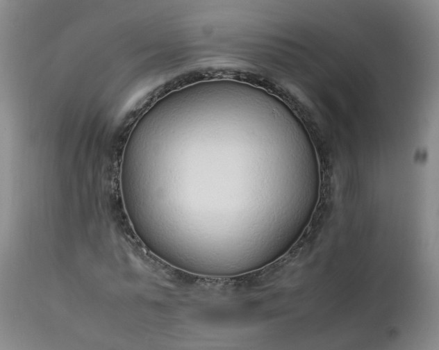 X0000111250775200907091423