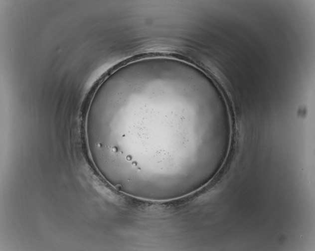 X0000111250779200907091423