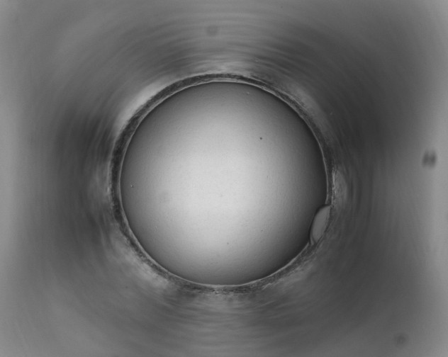 X0000111250780200907091423