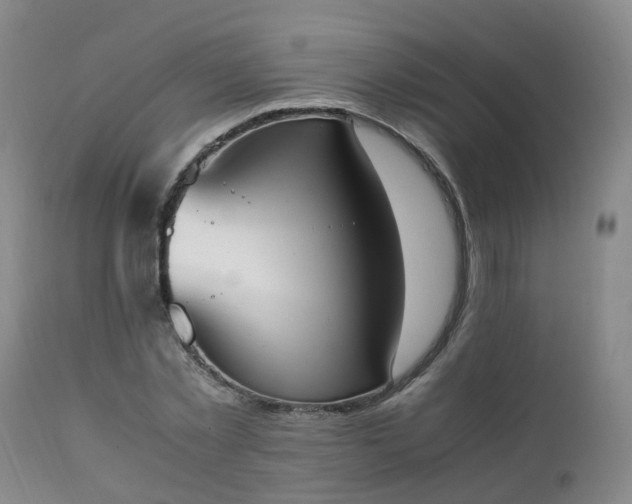 X0000111250781200907091423