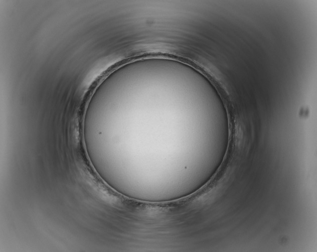 X0000111250782200907091422