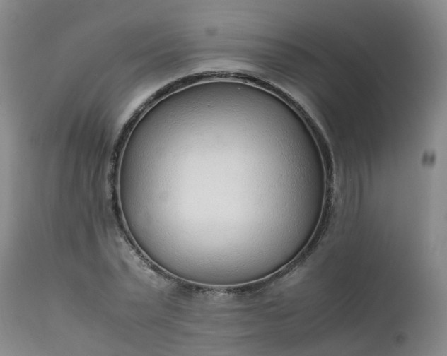 X0000111250783200907091422