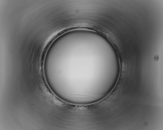 X0000111250784200907091422