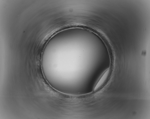 X0000111250785200907091422