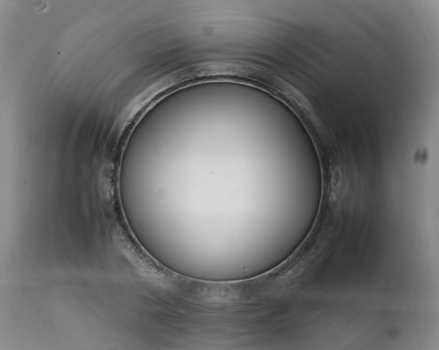 X0000111250786200907091422