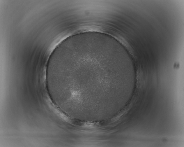 X0000111250790200907091422