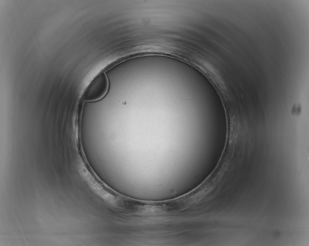 X0000111250796200907091422