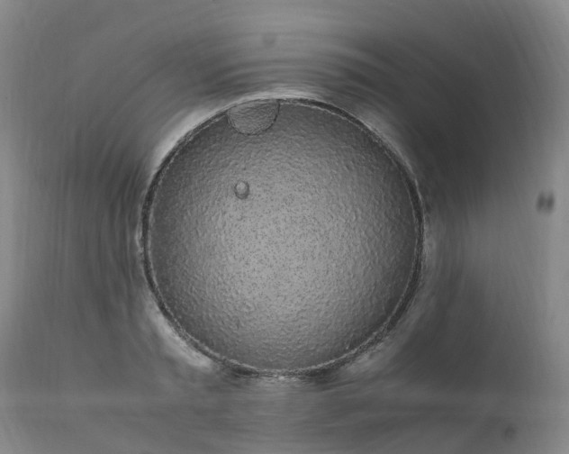 X0000111250797200907091422