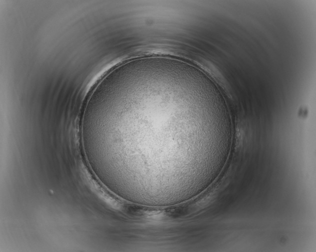 X0000111250798200907091422