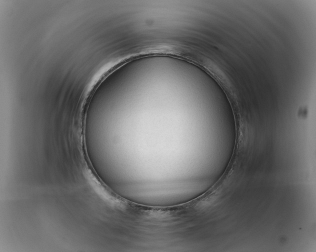 X0000111250800200907091422