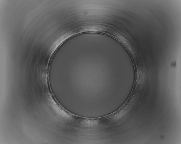 X0000111250802200907091422