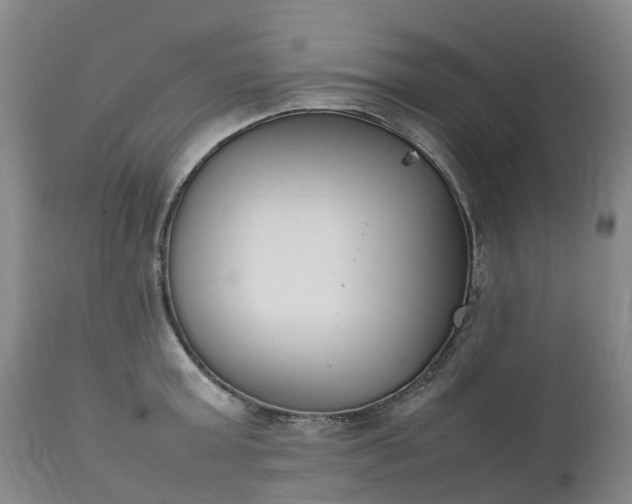 X0000111250803200907091422