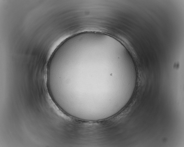 X0000111250804200907091422