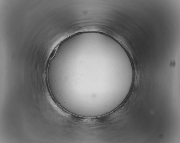 X0000111250805200907091422