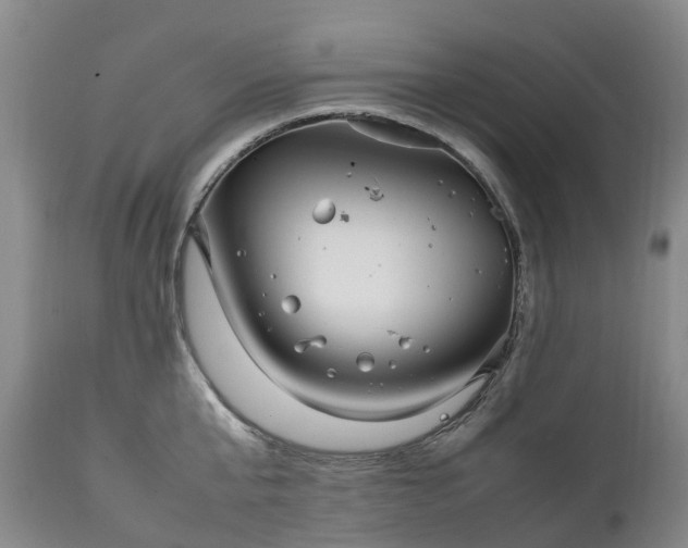 X0000111250807200907091422