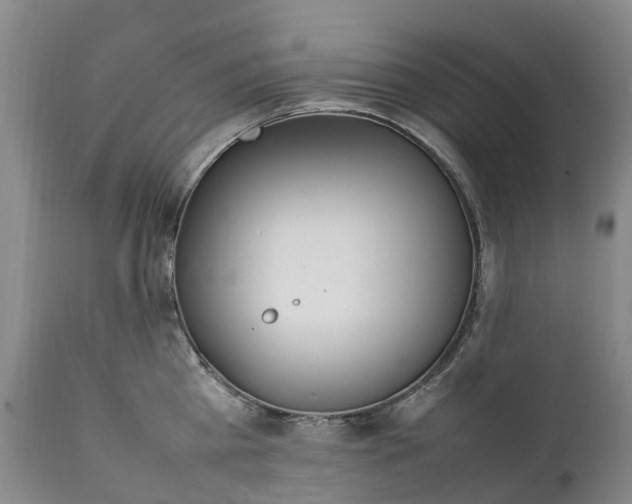 X0000111250809200907091422