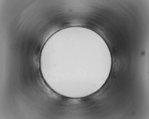 X0000111250810200907091422