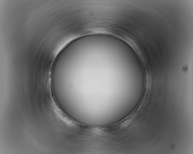 X0000111250814200907091422