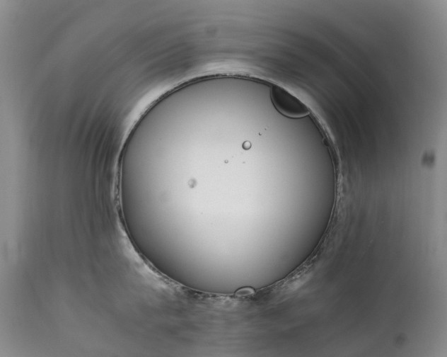 X0000111250815200907091422