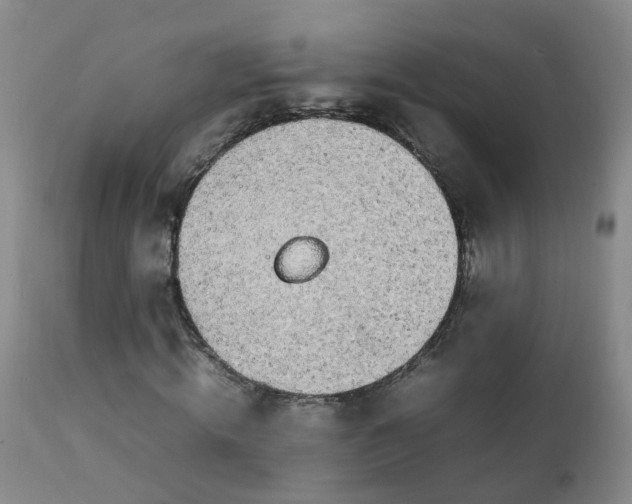 X0000111250820200907091421