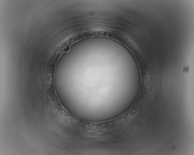 X0000111250821200907091421