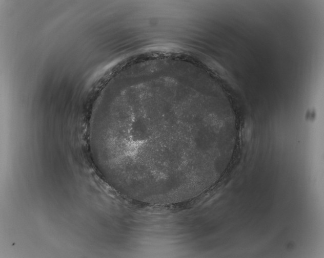 X0000111250822200907091421