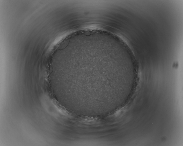 X0000111250823200907091421