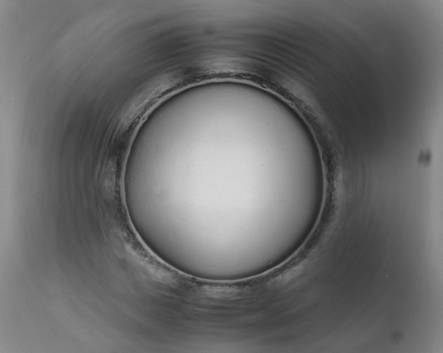 X0000111250825200907091421