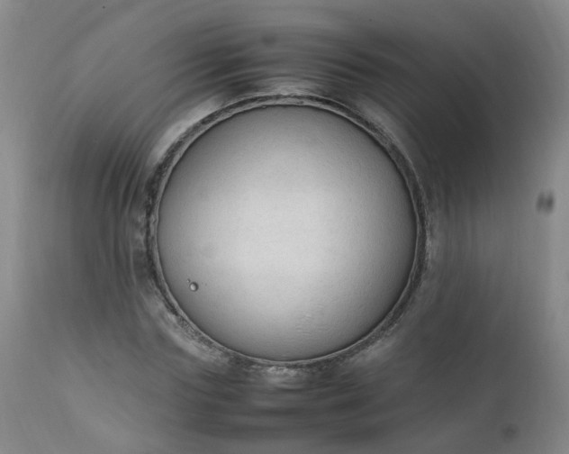 X0000111250827200907091421