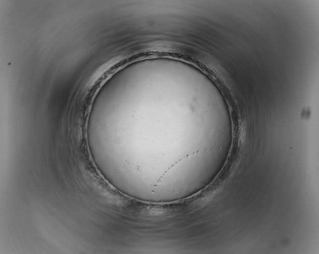 X0000111250829200907091421