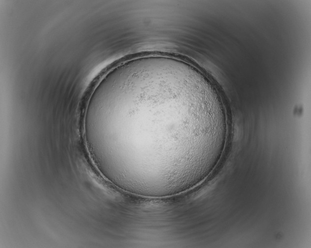 X0000111250830200907091421