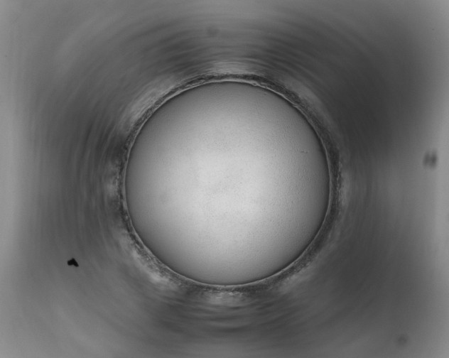 X0000111250833200907091421