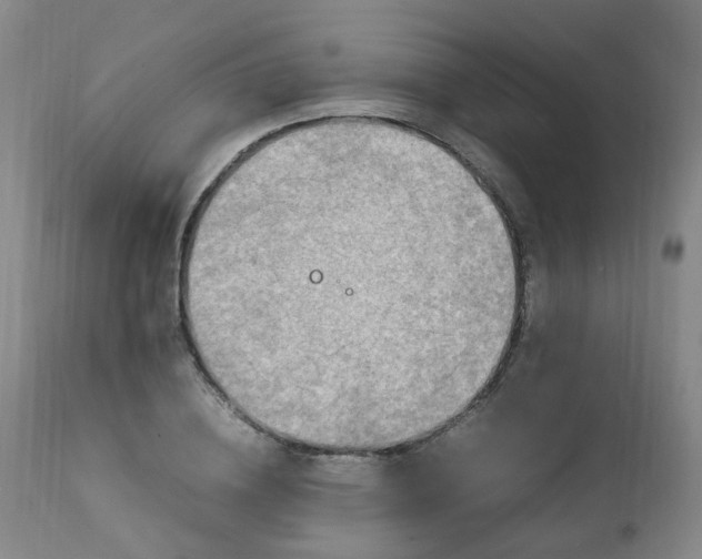 X0000111250836200907091422