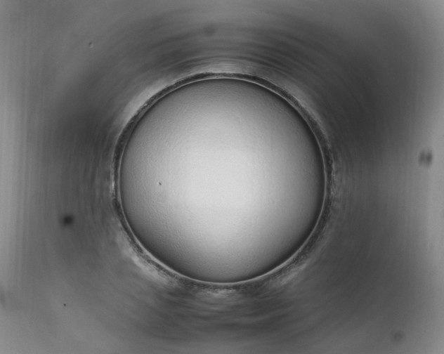 X0000111250837200907091422