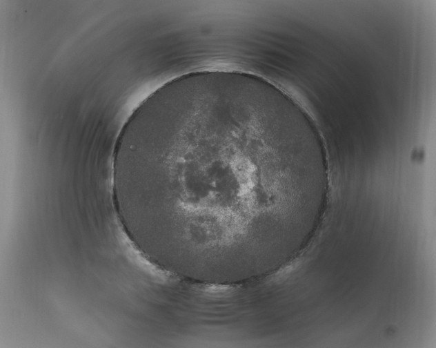 X0000111250839200907091422