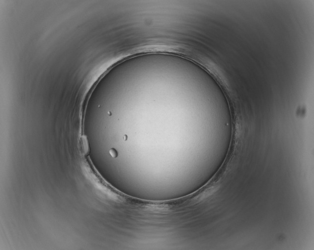 X0000111250844200907091422