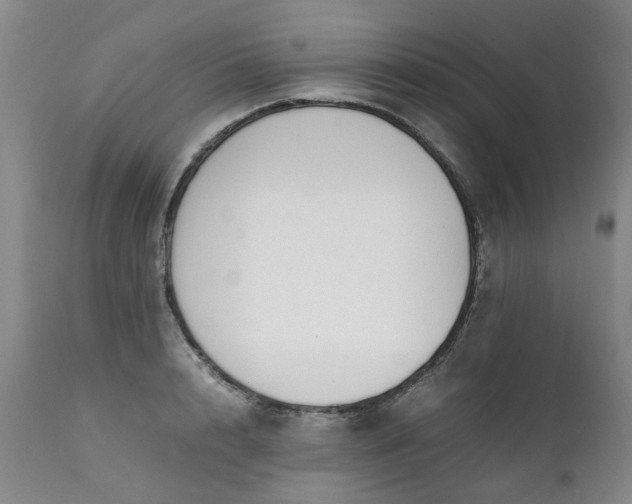 X0000111250848200907091422