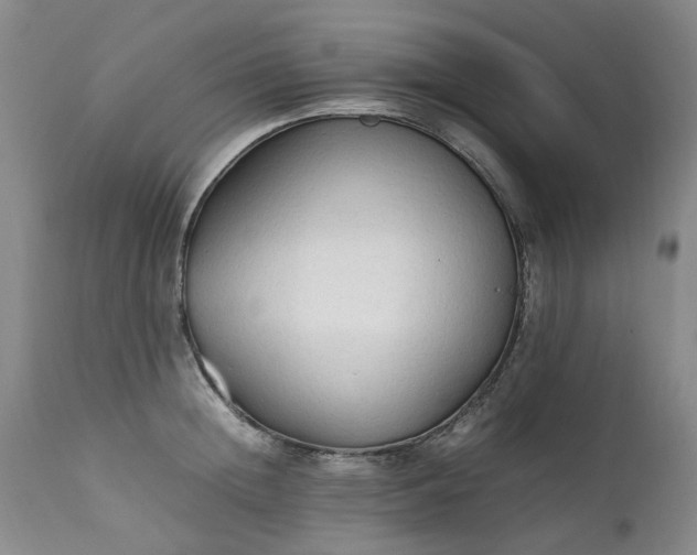 X0000111250852200907091422