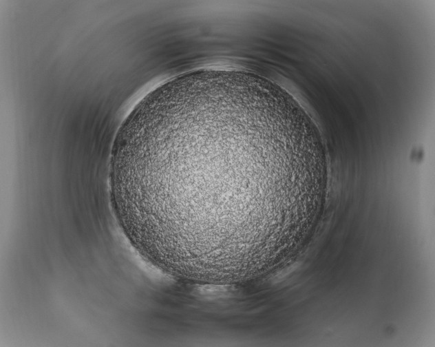 X0000111250853200907091422