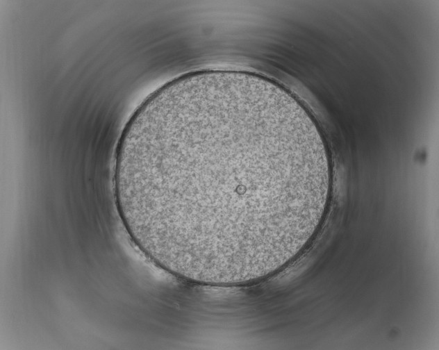 X0000111250856200907091422