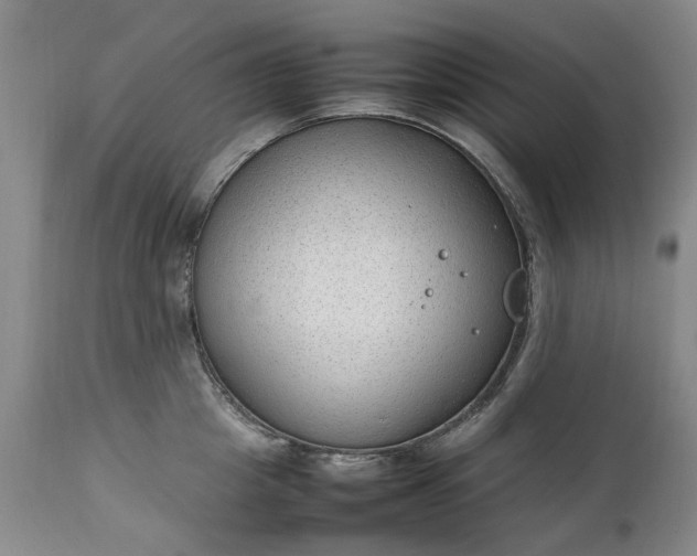 X0000111250857200907091422